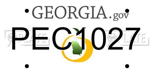 PEC1027 Georgia License Plate