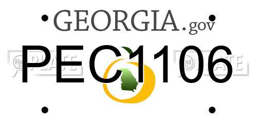 PEC1106 Georgia License Plate
