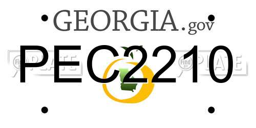PEC2210 Georgia License Plate
