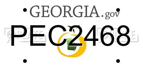 PEC2468 Georgia License Plate
