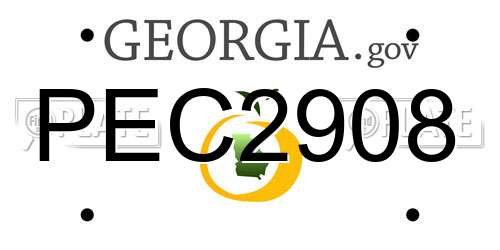 PEC2908 Georgia License Plate