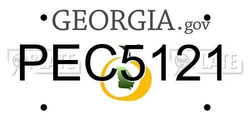 PEC5121 Georgia License Plate