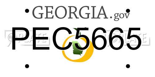 PEC5665 Georgia License Plate