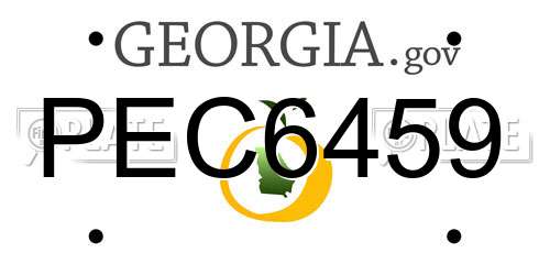 PEC6459 Georgia License Plate