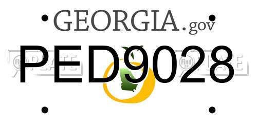 PED9028 Georgia License Plate