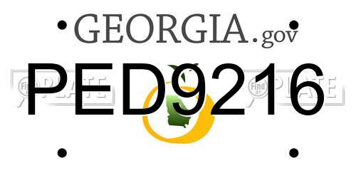 PED9216 Georgia License Plate