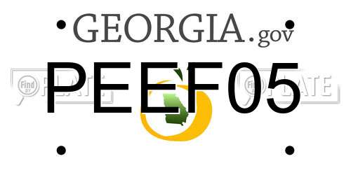 PEEF05 Georgia License Plate