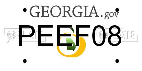 PEEF08 Georgia License Plate