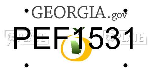PEF1531 Georgia License Plate