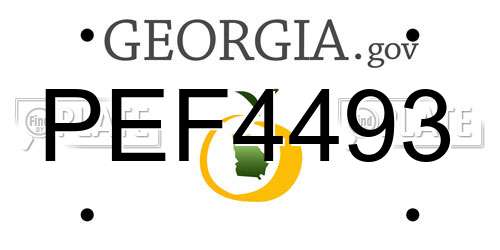 PEF4493 Georgia License Plate