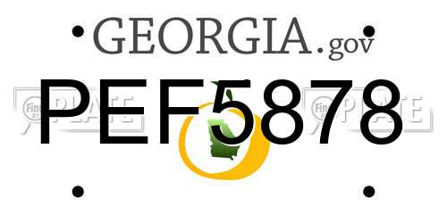 PEF5878 Georgia License Plate