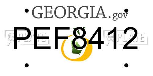 PEF8412 Georgia License Plate