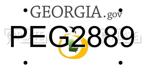 PEG2889 Georgia License Plate