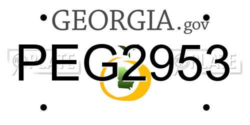 PEG2953 Georgia License Plate