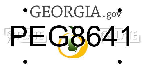 PEG8641 Georgia License Plate