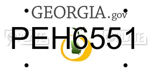 PEH6551 Georgia License Plate
