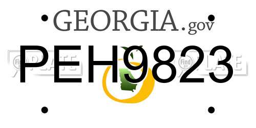 PEH9823 Georgia License Plate