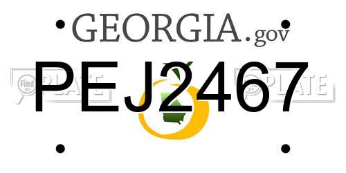 PEJ2467 Georgia License Plate