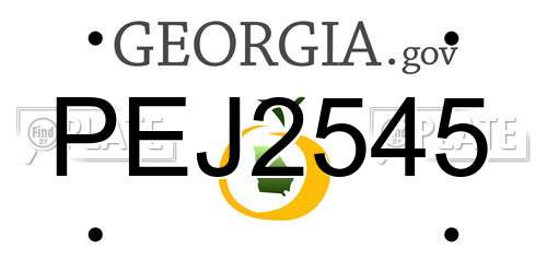 PEJ2545 Georgia License Plate