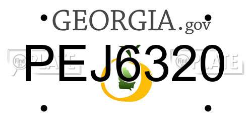 PEJ6320 Georgia License Plate