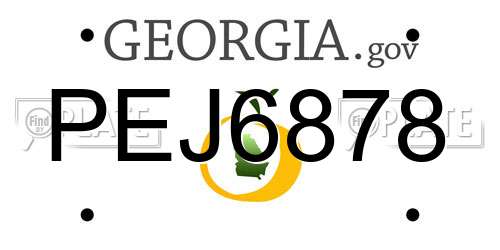 PEJ6878 Georgia License Plate