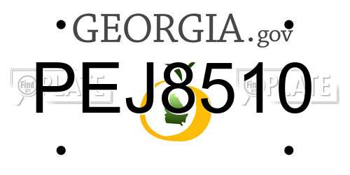 PEJ8510 Georgia License Plate