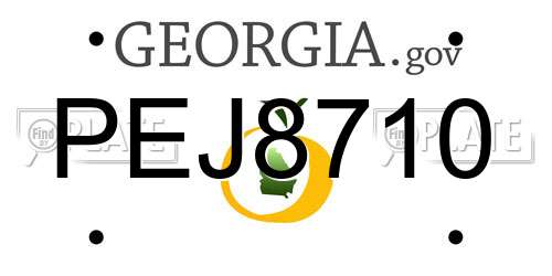 PEJ8710 Georgia License Plate