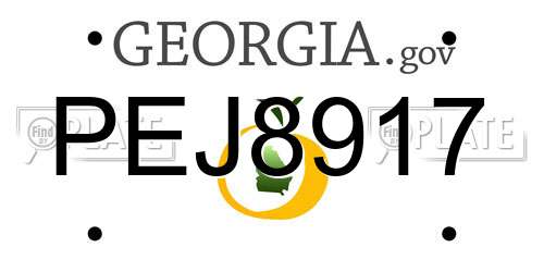 PEJ8917 Georgia License Plate