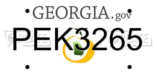 PEK3265 Georgia License Plate