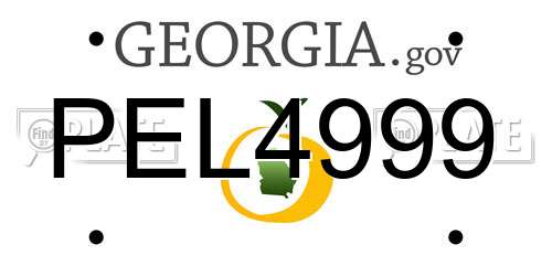 PEL4999 Georgia License Plate