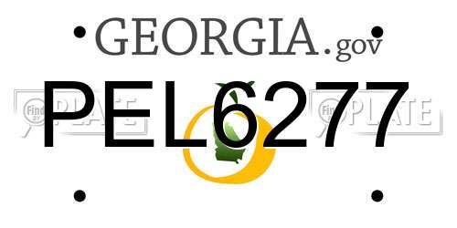 PEL6277 Georgia License Plate