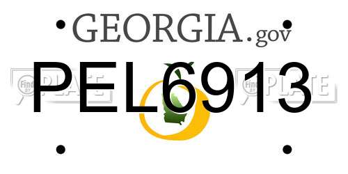 PEL6913 Georgia License Plate