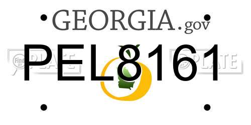 PEL8161 Georgia License Plate