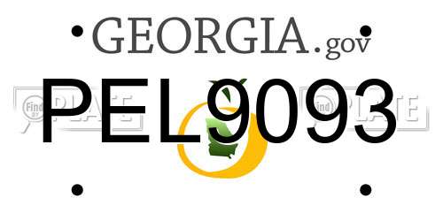 PEL9093 Georgia License Plate