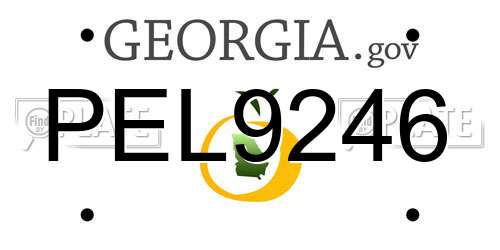 PEL9246 Georgia License Plate