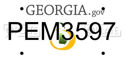 PEM3597 Georgia License Plate