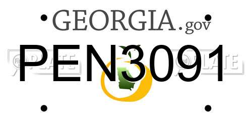 PEN3091 Georgia License Plate