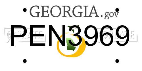 PEN3969 Georgia License Plate