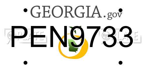 PEN9733 Georgia License Plate