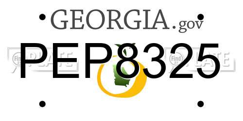 PEP8325 Georgia License Plate