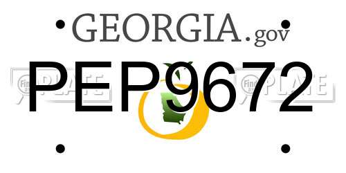 PEP9672 Georgia License Plate