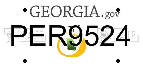 PER9524 Georgia License Plate