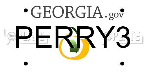 PERRY3 Georgia License Plate
