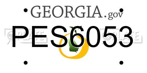 PES6053 Georgia License Plate