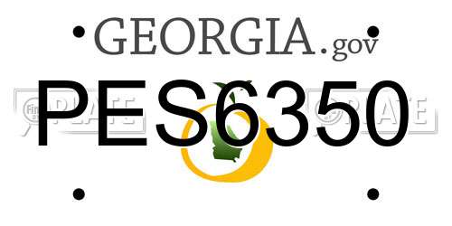 PES6350 Georgia License Plate