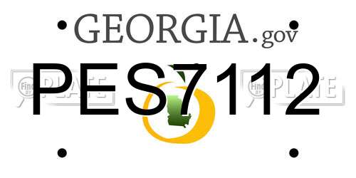 PES7112 Georgia License Plate