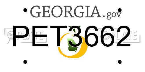 PET3662 Georgia License Plate