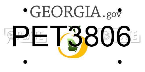 PET3806 Georgia License Plate