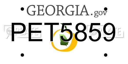 PET5859 Georgia License Plate