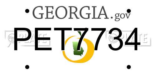PET7734 Georgia License Plate